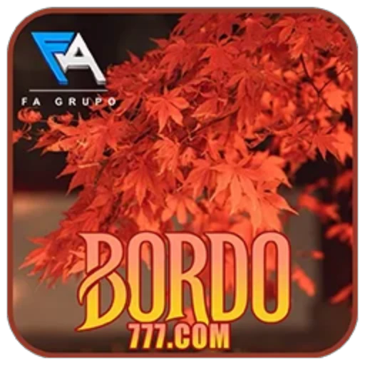 BORDO777 Logo